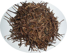 お買い徳 岩茶茎茶